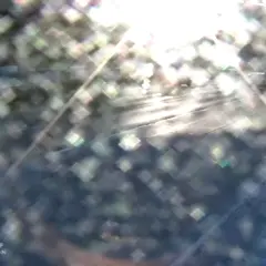 Camera Preview