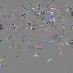 Camera Preview