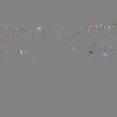 Camera Preview