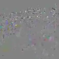 Camera Preview