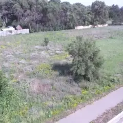 Camera Preview