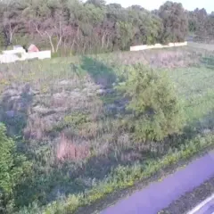 Camera Preview