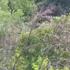 Camera Preview