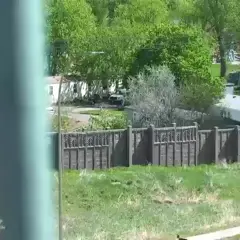 Camera Preview