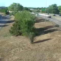 Camera Preview